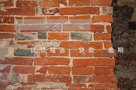 征信报告 贷款 逾期